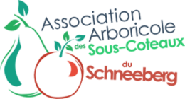 logo association Schneeberg